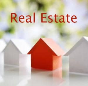 real-estate-300x292
