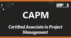 PMP Logo